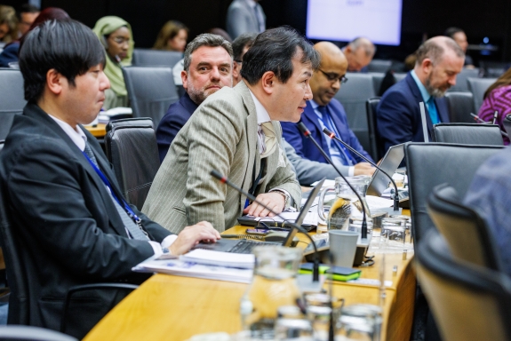 Delegate from Permament Mission of Japan speaking during PrepCom session